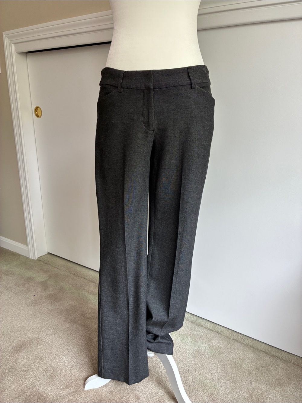 Express Dark Charcoal Boot Cut Dress Pants